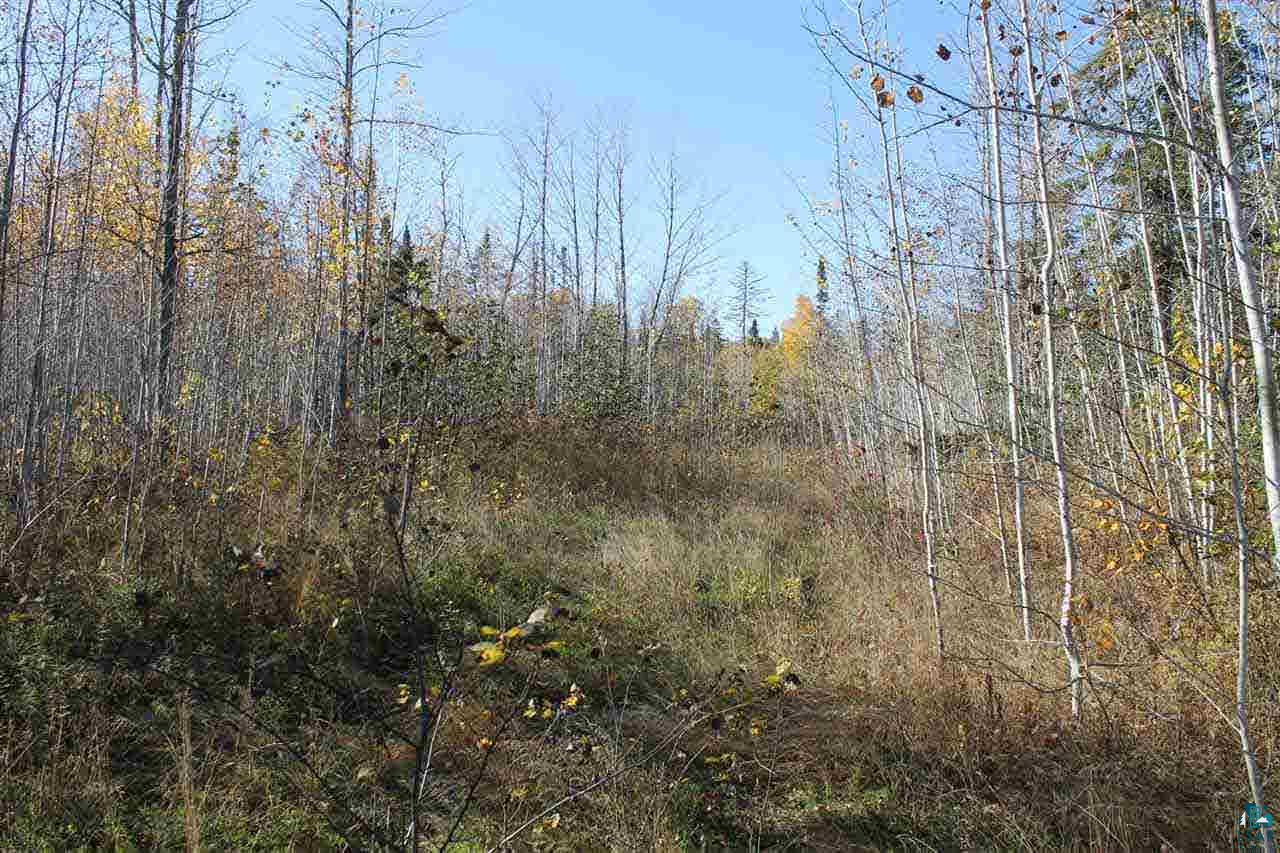 0 Rowley Road Bayfield, WI 54814 - Photo 1 of 6 Gallery Image 1