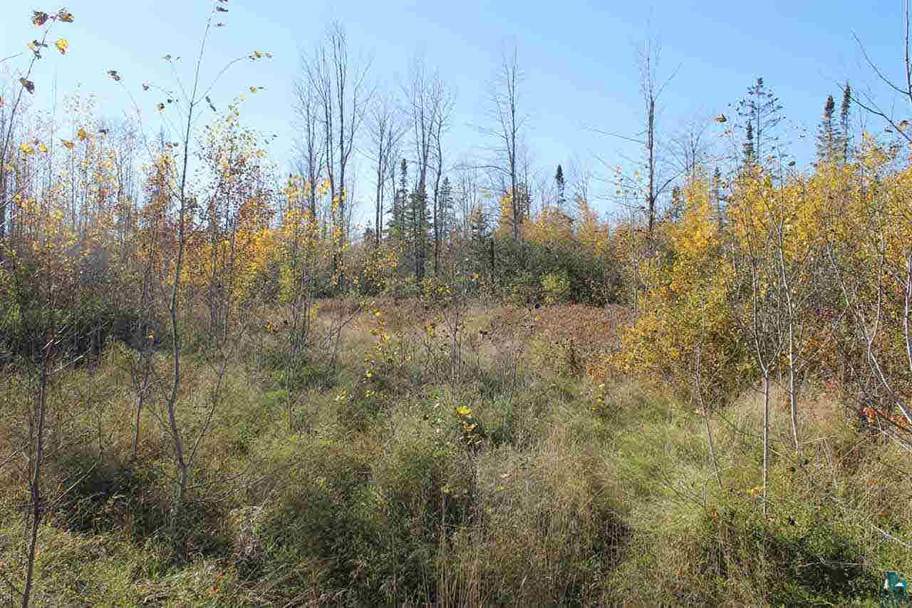 0 Rowley Road Bayfield, WI 54814 - Photo 2 of 6 Gallery Image 2