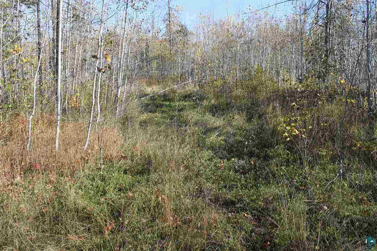 0 Rowley Road Bayfield, WI 54814 - Photo 3 of 6 Gallery Image 3