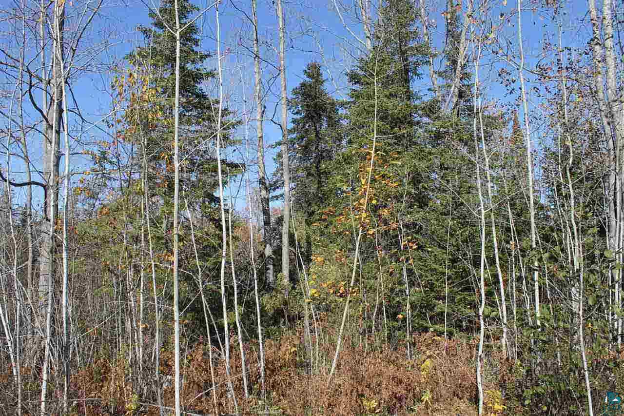 0 Rowley Road Bayfield, WI 54814 - Photo 4 of 6 Gallery Image 4