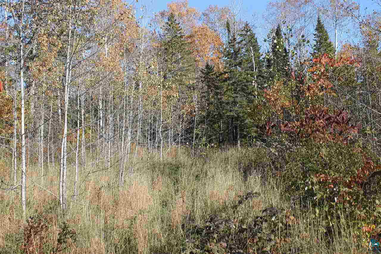 0 Rowley Road Bayfield, WI 54814 - Photo 5 of 6 Gallery Image 5