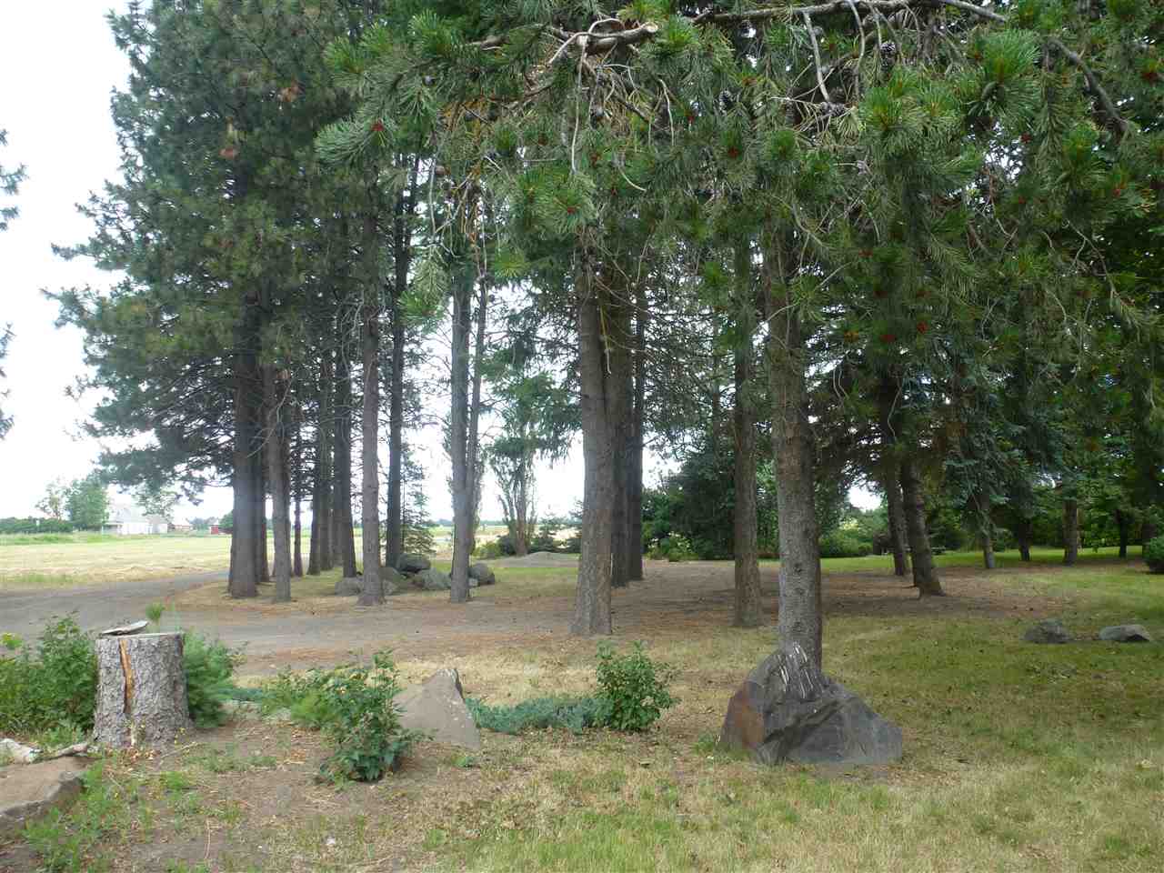 4311 South Brooks Road Medical Lake, WA 99022 - Photo 18 of 20