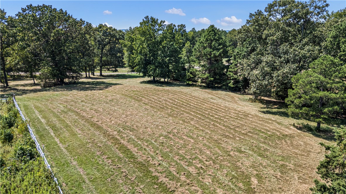 0 Pine Hill Road Dover, AR 72837 - Photo 15 of 23 Gallery Image 15