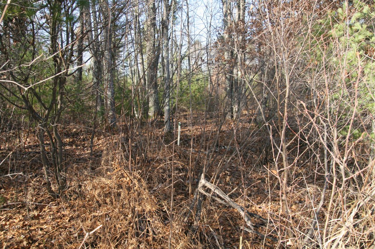 Lot 4 Packers Road Lake Tomahawk, WI 54539 - Photo 7 of 7 Gallery Image 7