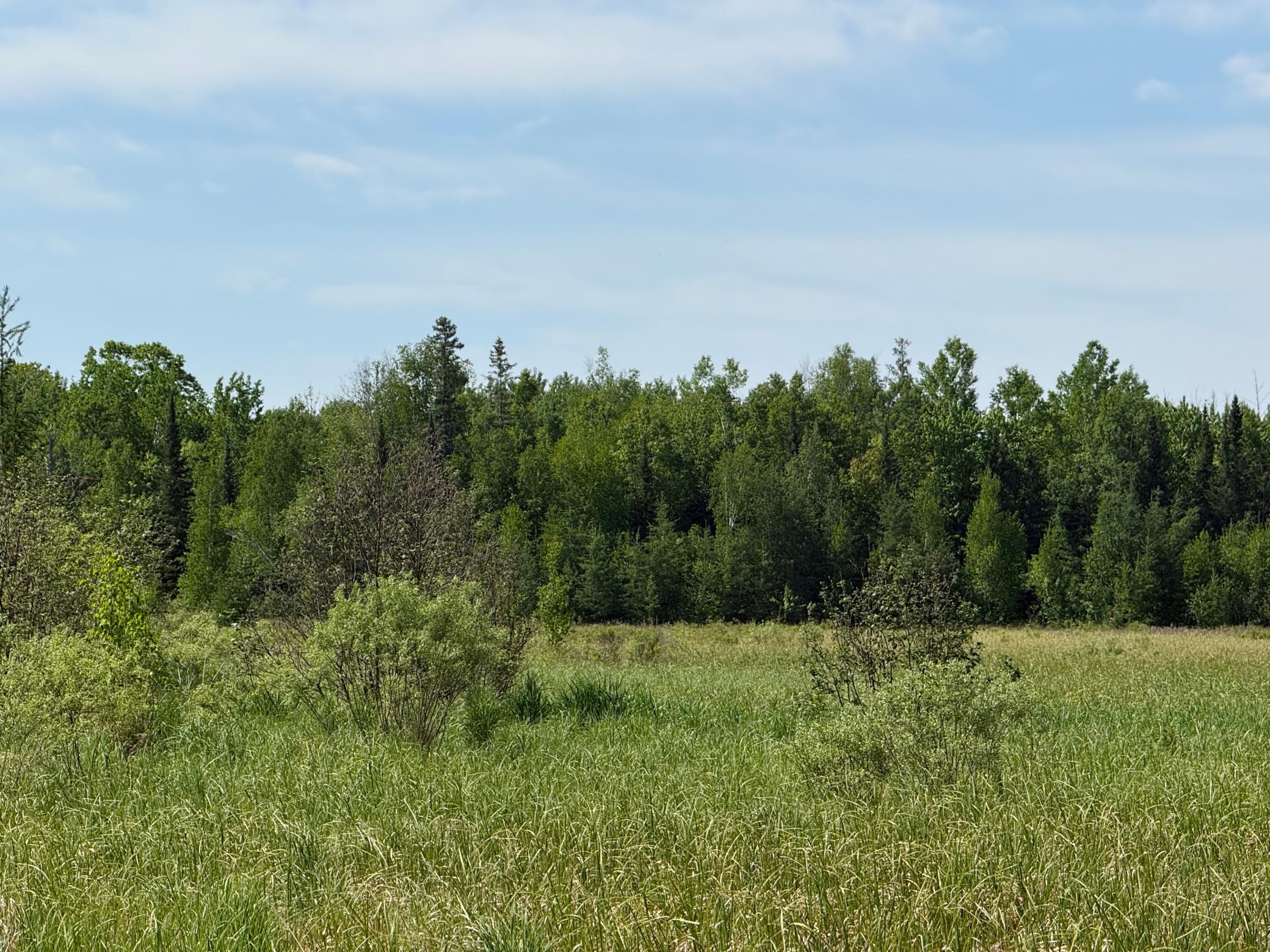 42330 Rutabaga Road Askov, MN 55704 - Photo 28 of 32