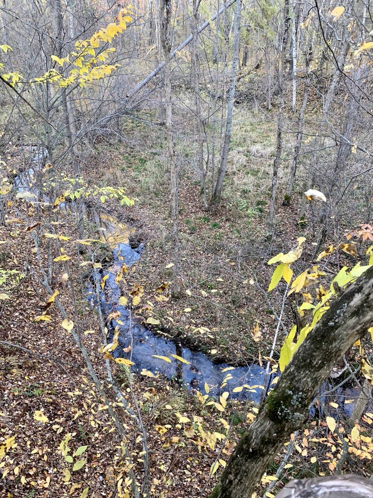 18255 9 Mile Road Reed City, MI 49677 - Photo 39 of 45 C5FDA081-F356-48CD-8A58-C5F3E4E71327