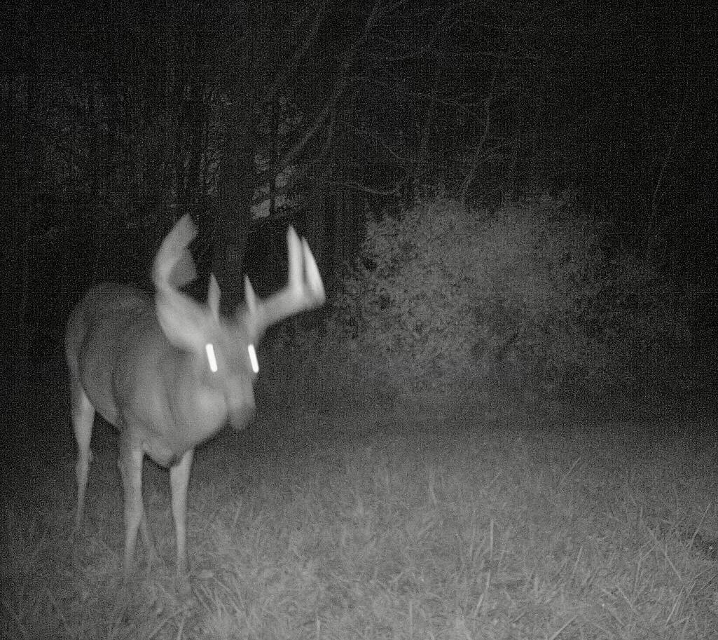 18255 9 Mile Road Reed City, MI 49677 - Photo 41 of 45 C9A3788C-AC9B-45A6-91D6-04F0FBE6F030