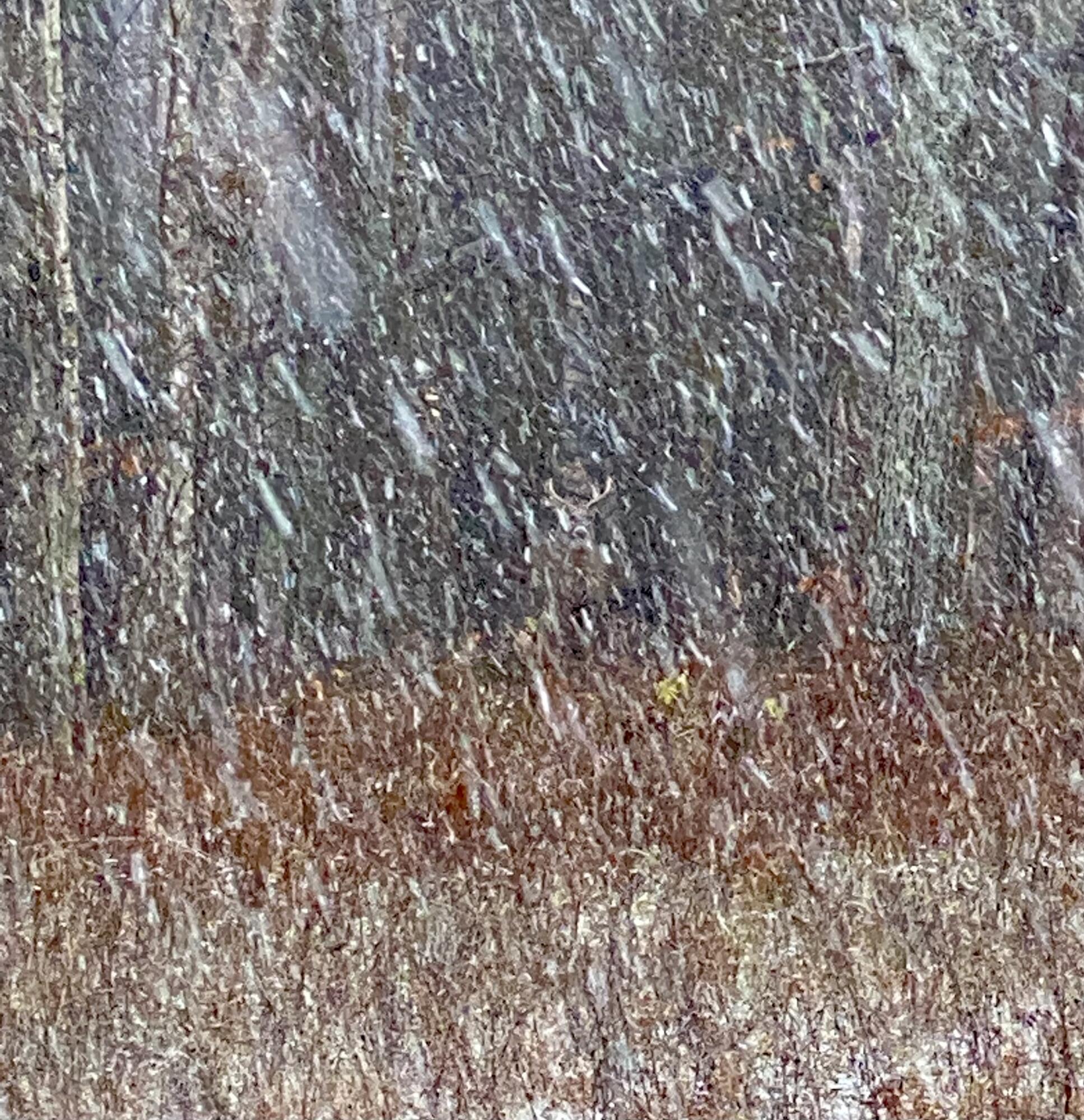 18255 9 Mile Road Reed City, MI 49677 - Photo 42 of 45 5058FD08-A9A0-46BD-A296-495E930A3DE2