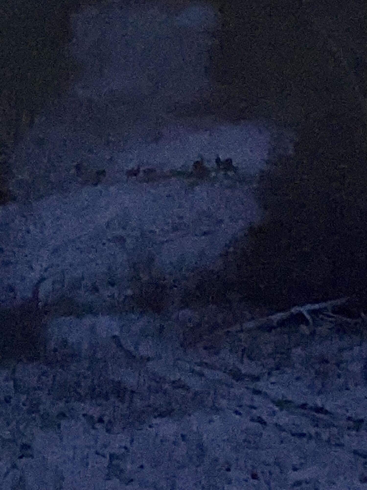 18255 9 Mile Road Reed City, MI 49677 - Photo 43 of 45 EA75E58B-2BD8-4EFE-AEA1-66149BE3D932