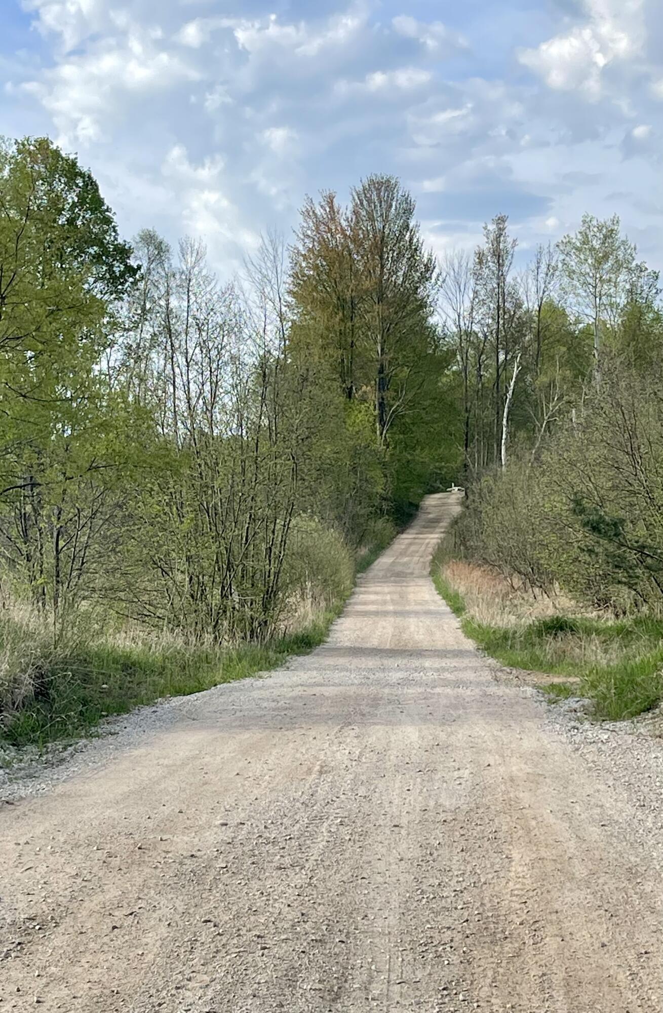 18255 9 Mile Road Reed City, MI 49677 - Photo 44 of 45 009C2625-87C3-4786-917B-FD03EB29AFD1