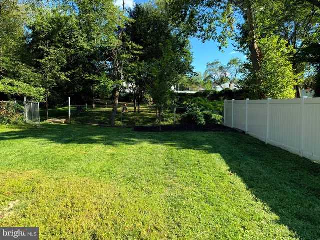 a view of a backyard with large trees