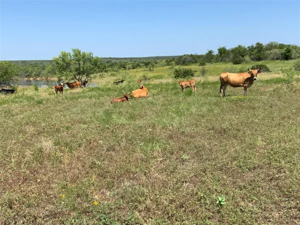 $2,400,000 | 4801 Farm To Market Road 1702, Gustine, TX 76455