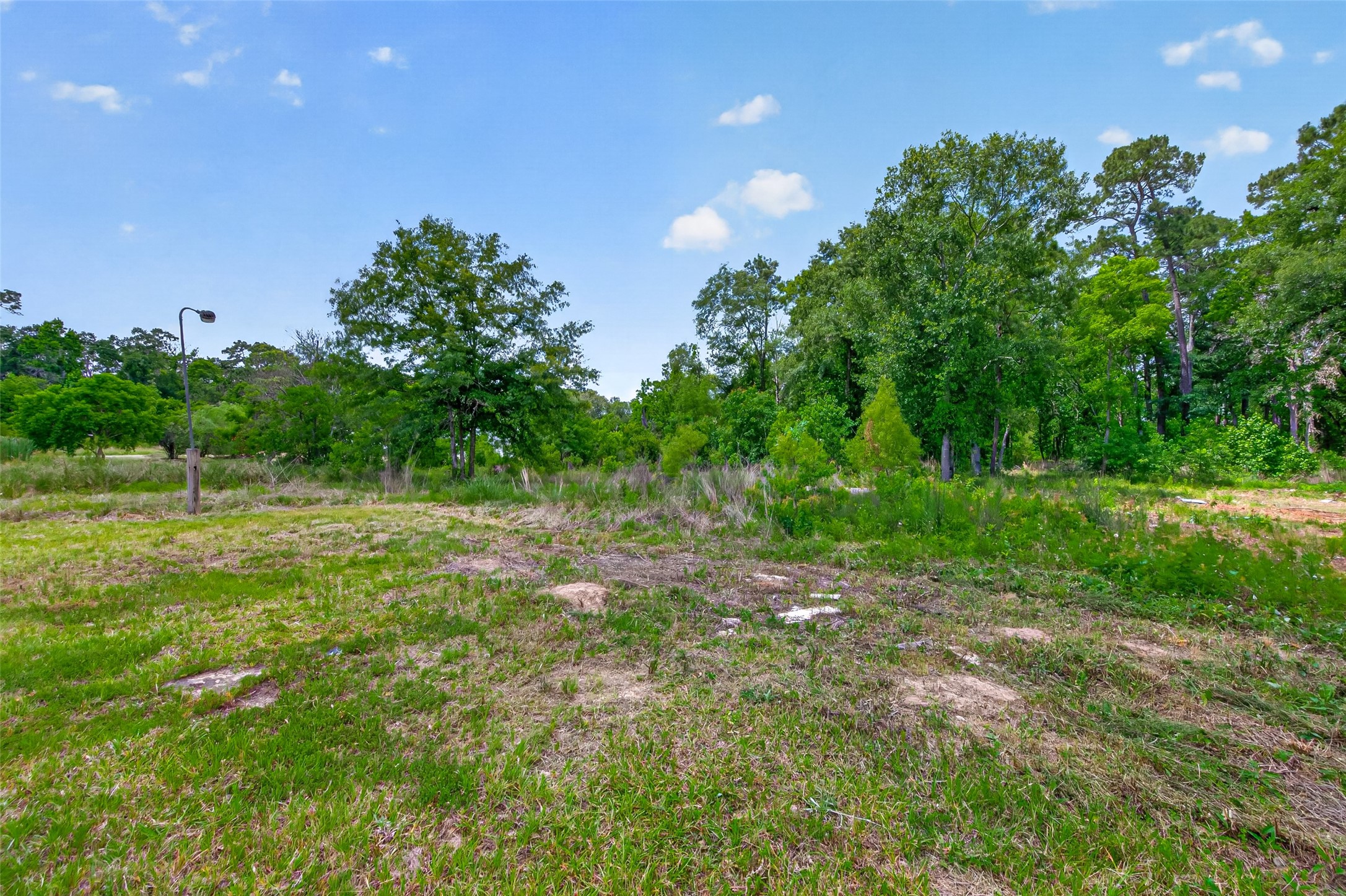 16497 Highline Boulevard Conroe, TX 77306 - Photo 21 of 46