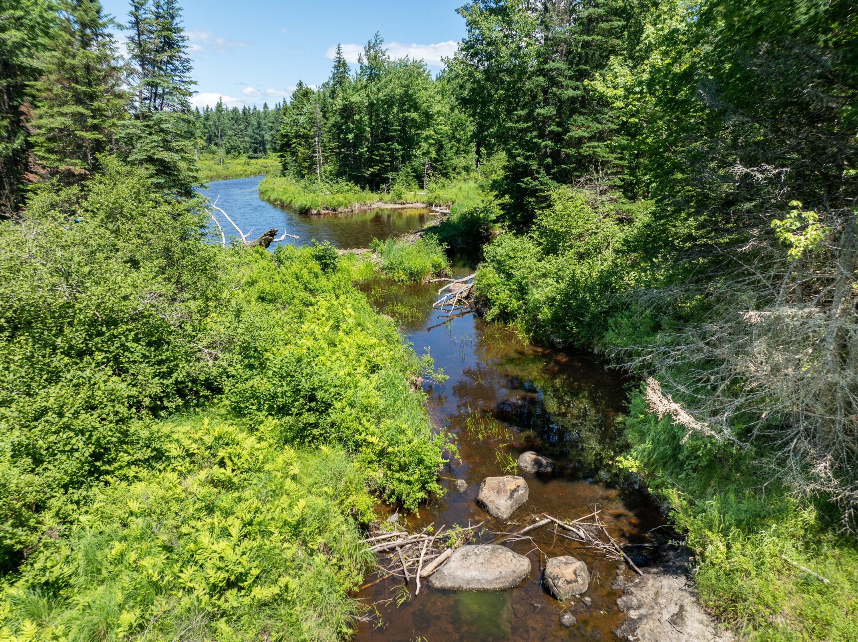107 Mill River Road Harrington, ME 04643 - Photo 39 of 42 Mill River.