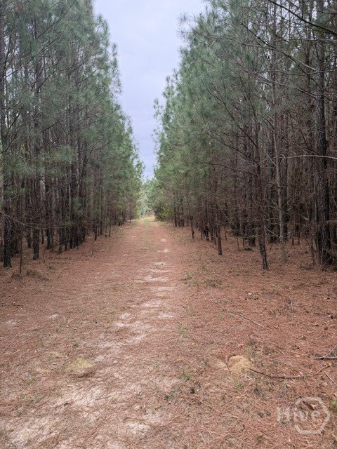 1 Race Path Road Rincon, GA 31326 - Photo 8 of 10