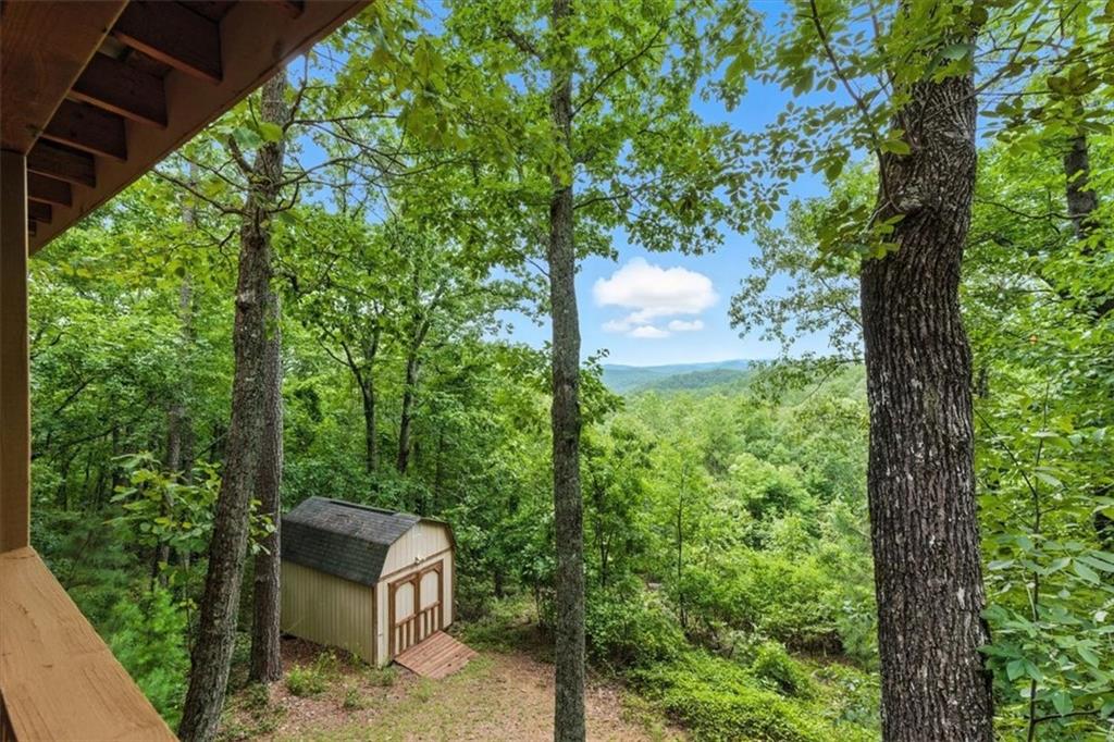 538 Galaxy Way Ranger, GA 30734 - Photo 41 of 48