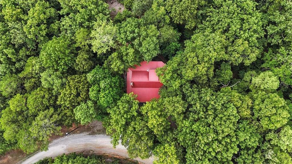 538 Galaxy Way Ranger, GA 30734 - Photo 43 of 48