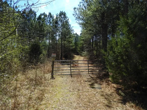 a view of a backyard of the house