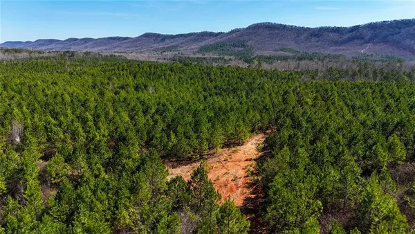 a view of a lush green hillside and a houses