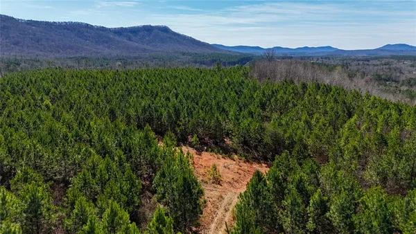 a view of a lush green hillside and a houses