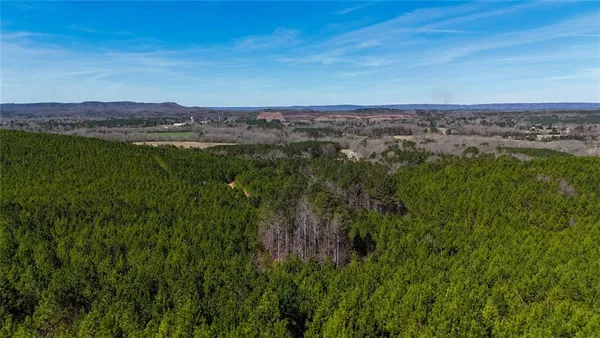 a view of a city with lush green forest