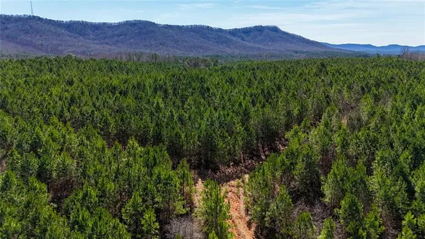 a view of a lush green hillside and a houses