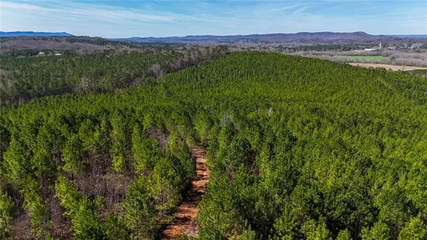 a view of a lush green hillside and a houses