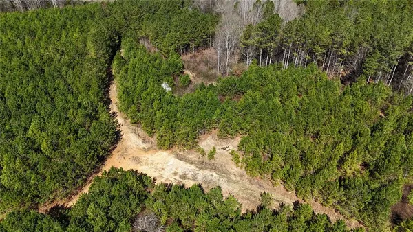 a view of a lush green field with lots of bushes