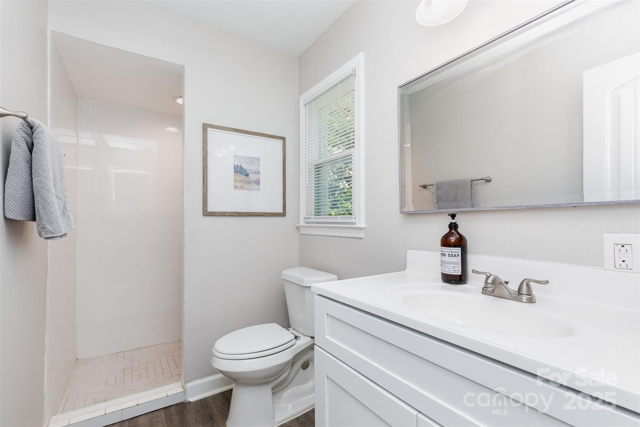1041 Brawley School Road Mooresville, NC 28117 - Photo 13 of 19 a bathroom with a sink toilet and a mirror