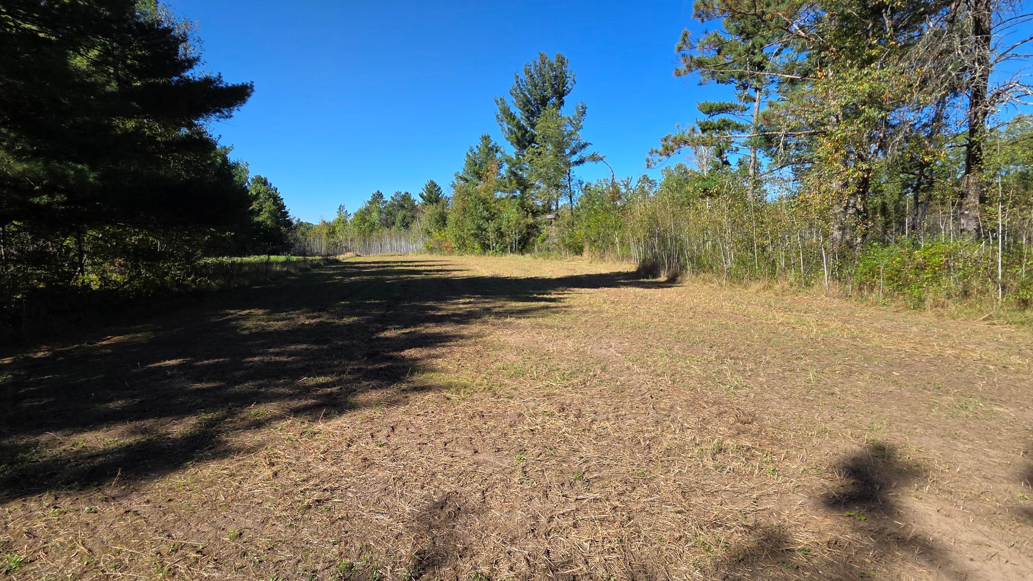 Xxx Xxx Herrick Road Frederic, WI 54837 - Photo 6 of 21