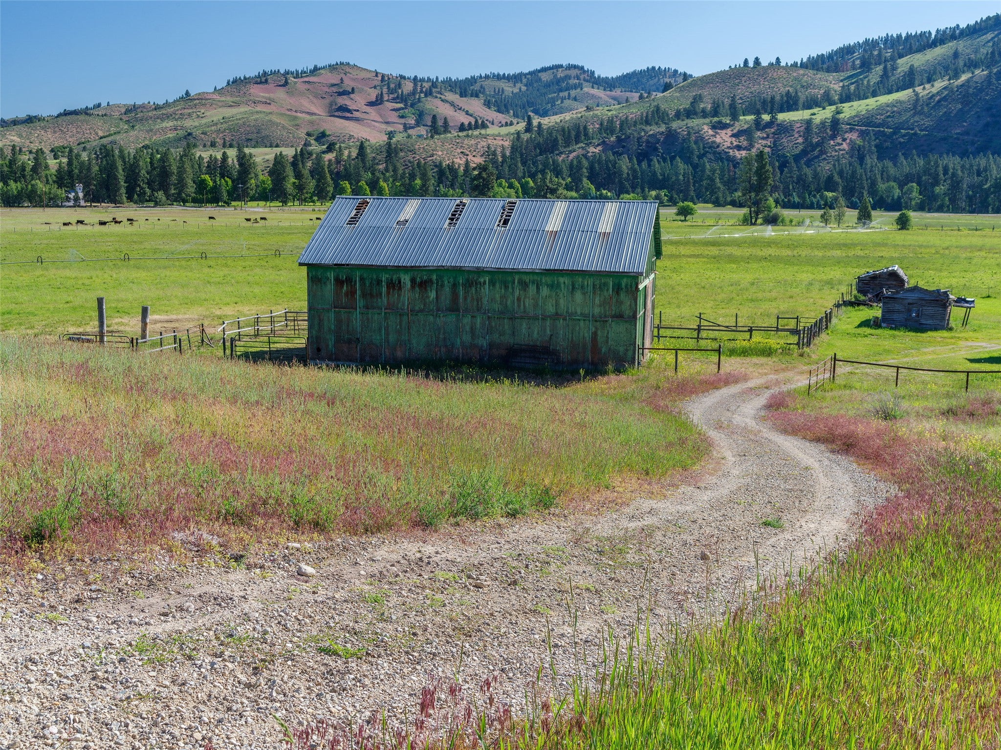 2519 Old Darby Road Darby, MT 59829 - Photo 9 of 48 Gallery Image 9
