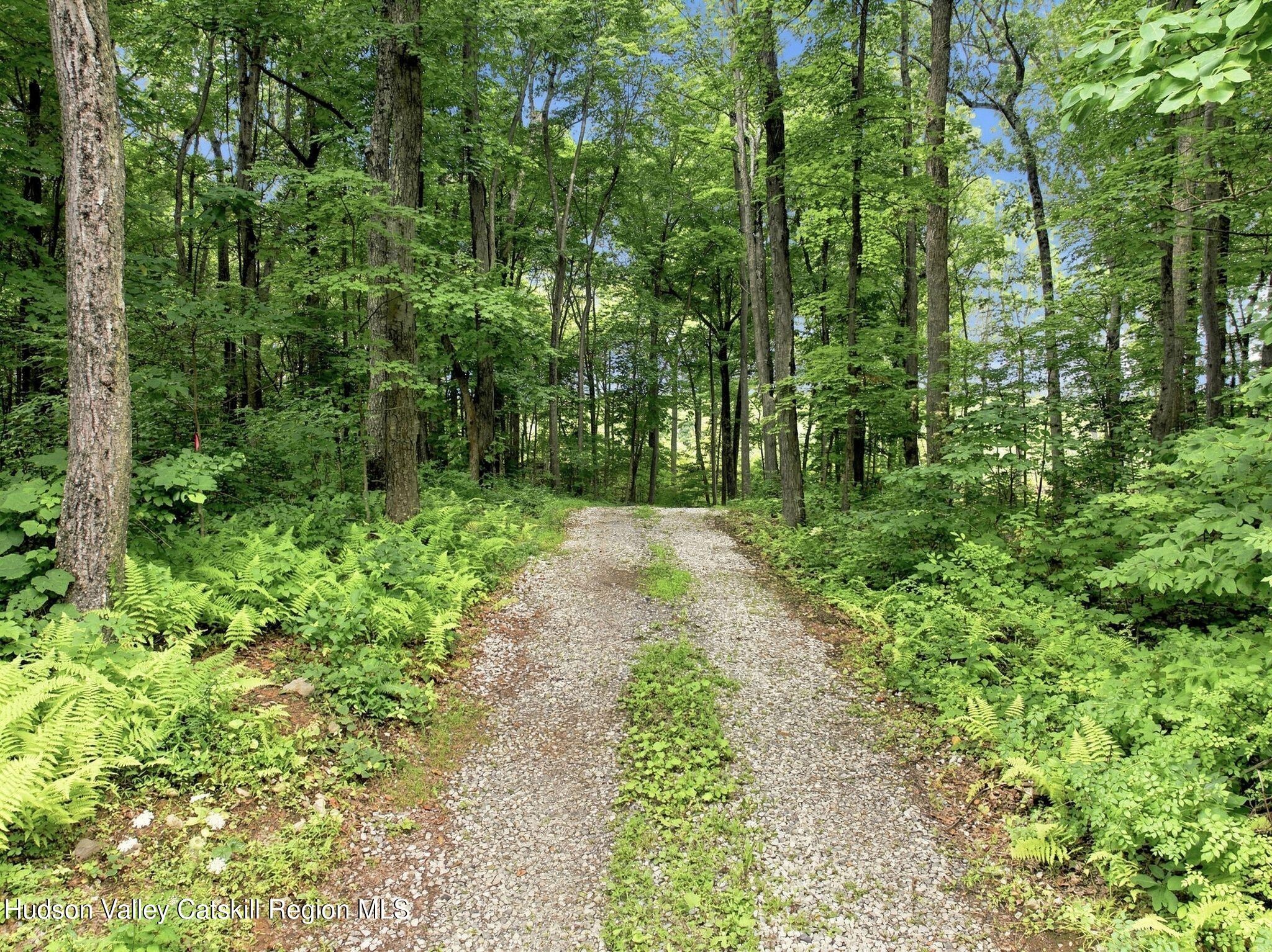 3 Arrowhead Ridge Road Saugerties, NY 12477 - Photo 10 of 11 3 Arrowhead Ridge Road-26