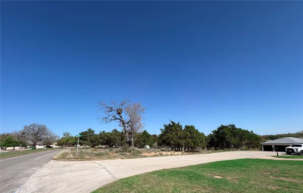 a view of a yard with a tree