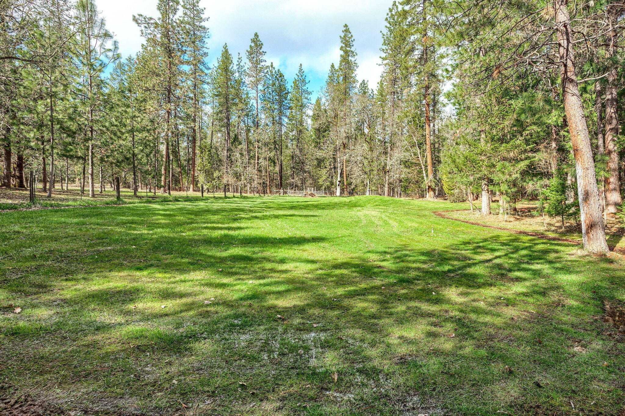 7081 Redthorne Road Rogue River, OR 97537 - Photo 57 of 58 a big yard with lots of green space and trees