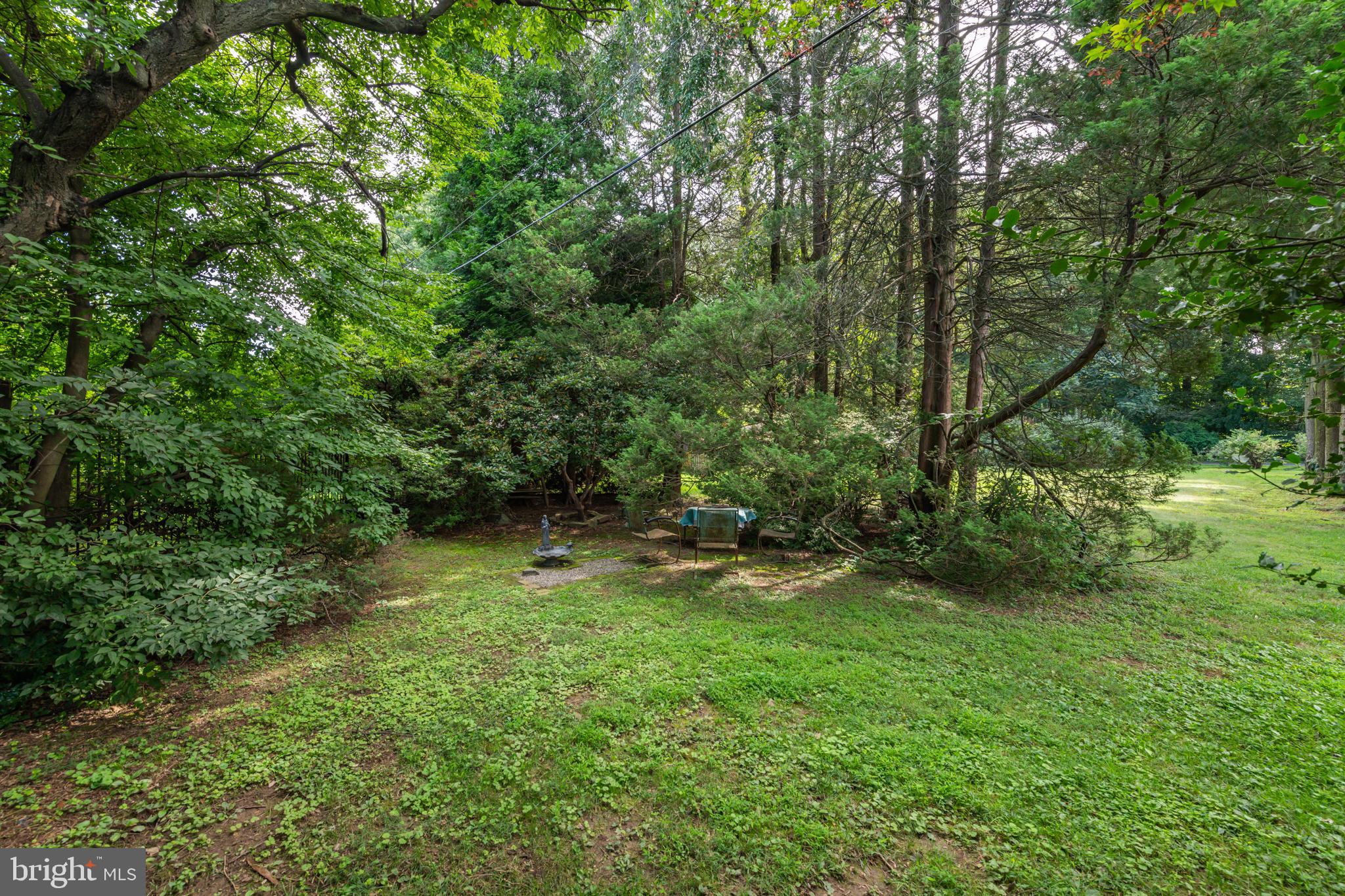 141 Zane Avenue, Unit A Jenkintown, PA 19046 - Photo 5 of 17 Large open lot behind the home