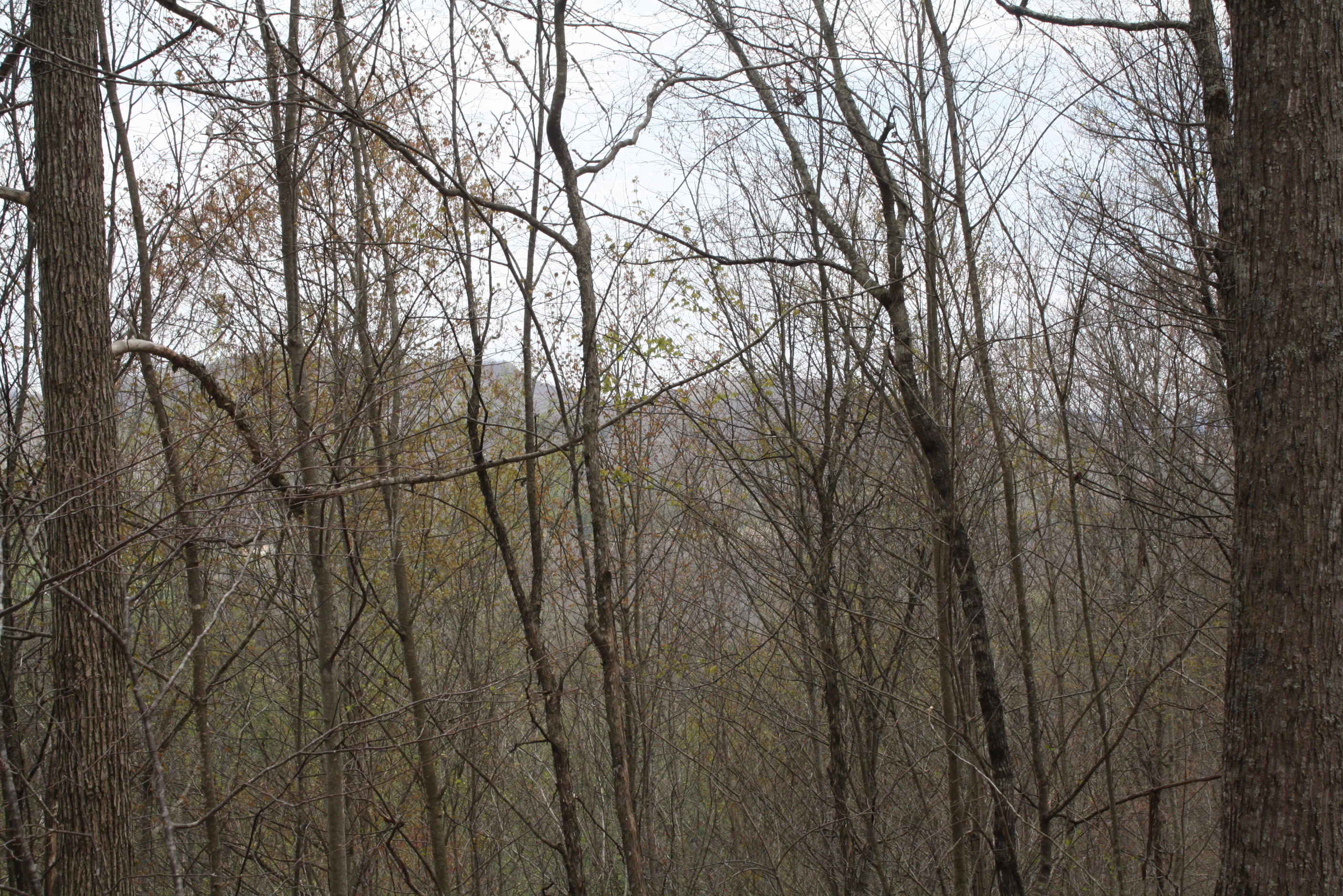 722 East Woodrumtown Road Hinton, WV 25951 - Photo 131 of 145 Gallery Image 131