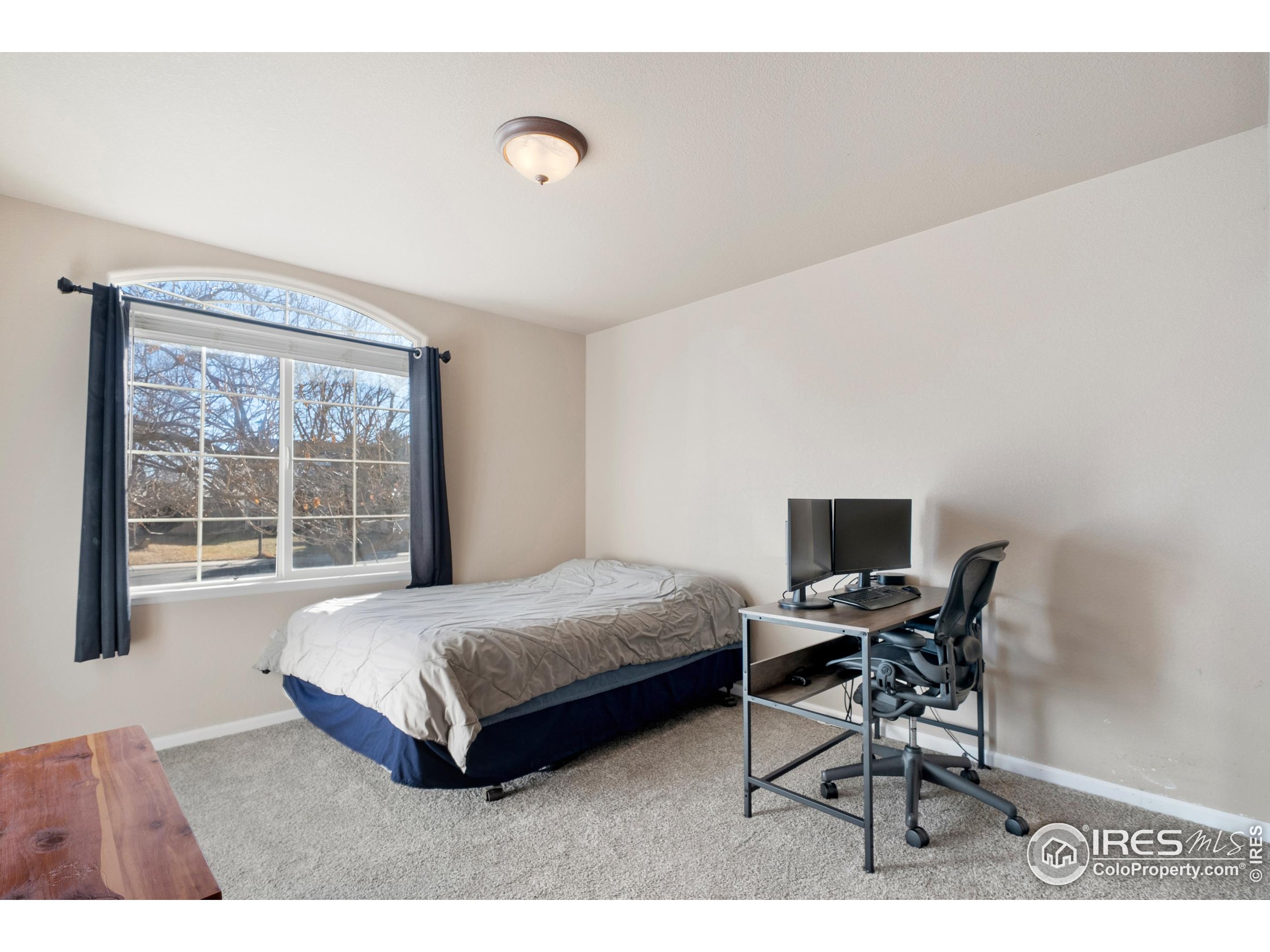 8945 Smoke Signal Way Wellington, CO 80549 - Photo 23 of 47