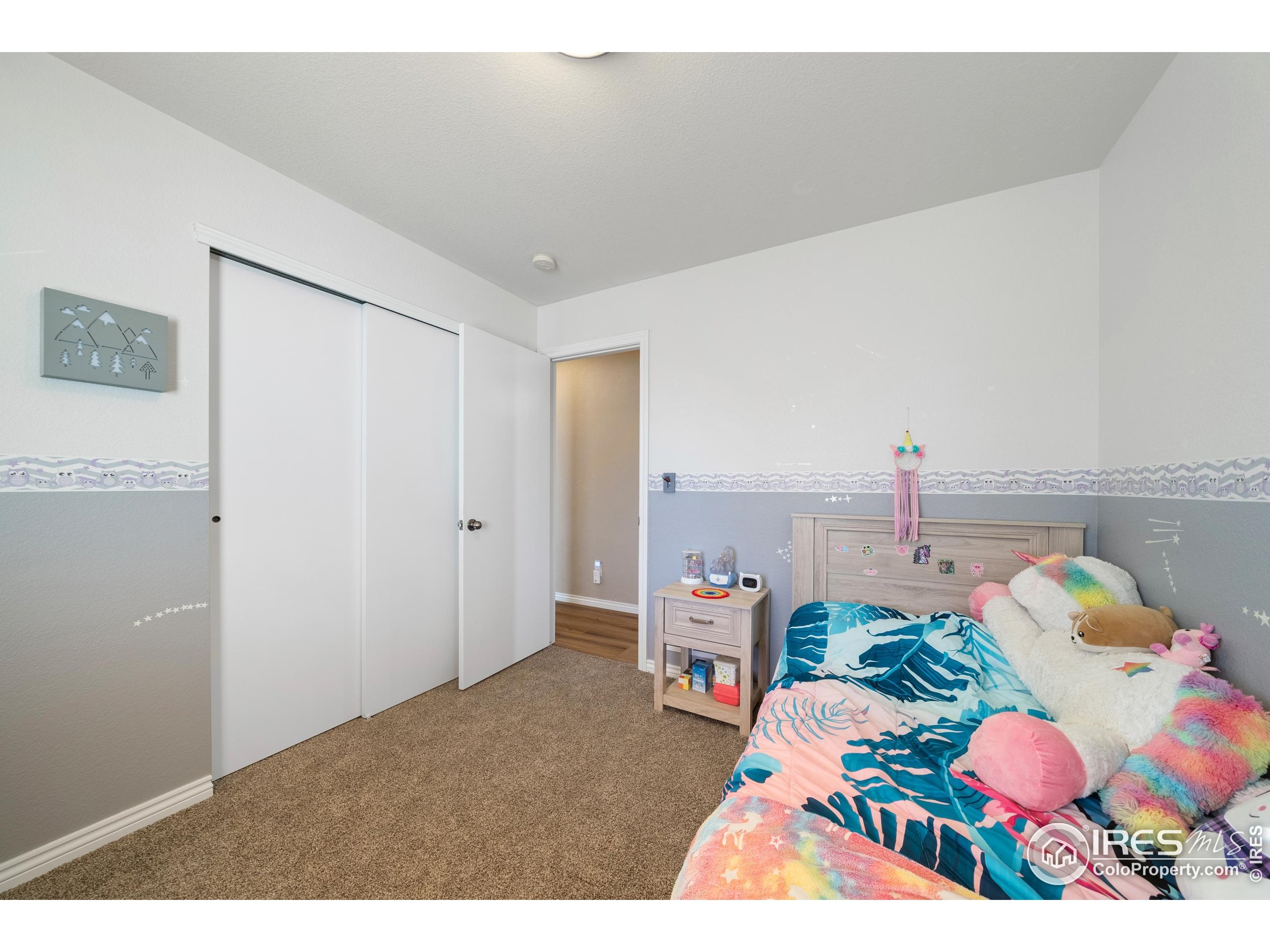 8945 Smoke Signal Way Wellington, CO 80549 - Photo 27 of 47