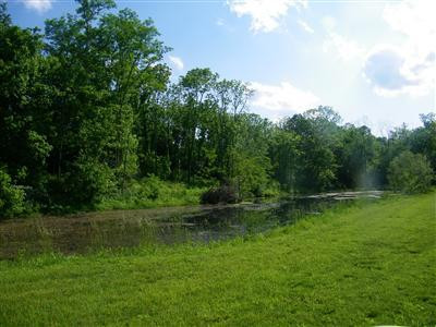 8137 Tates Creek Road Lexington, KY 40515 - Photo 12 of 40 Photo 12