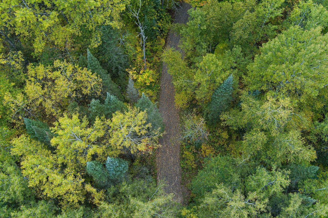 10680 Powers Dam Road Long Lake, WI 54542 - Photo 50 of 65 Gallery Image 50