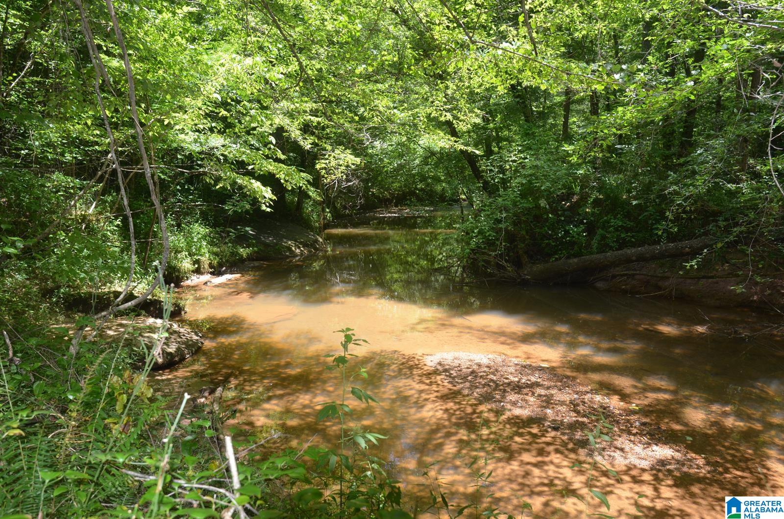 12691 Highway 46 Heflin, AL 36264 - Photo 22 of 63