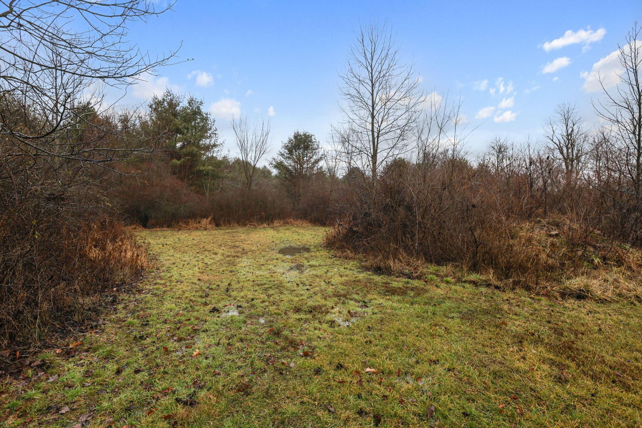 13747 Ash Road Newcomerstown, OH 43832 - Photo 22 of 36 21