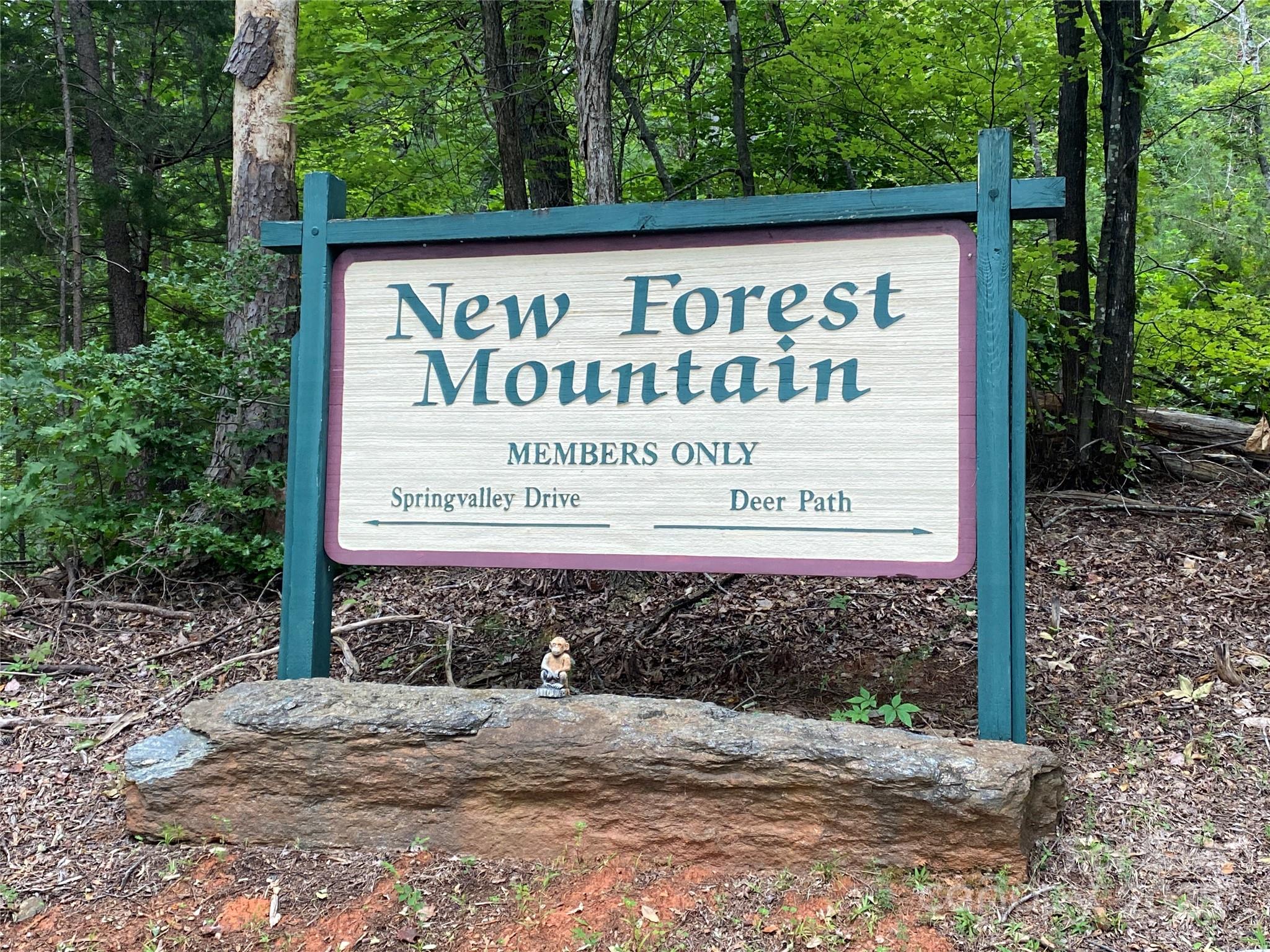 0 Spring Valley Drive Union Mills, NC 28167 - Photo 3 of 11