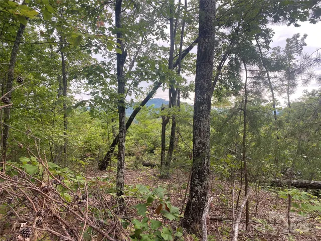 $34,900 | 0 Spring Valley Drive, Union Mills, NC 28167