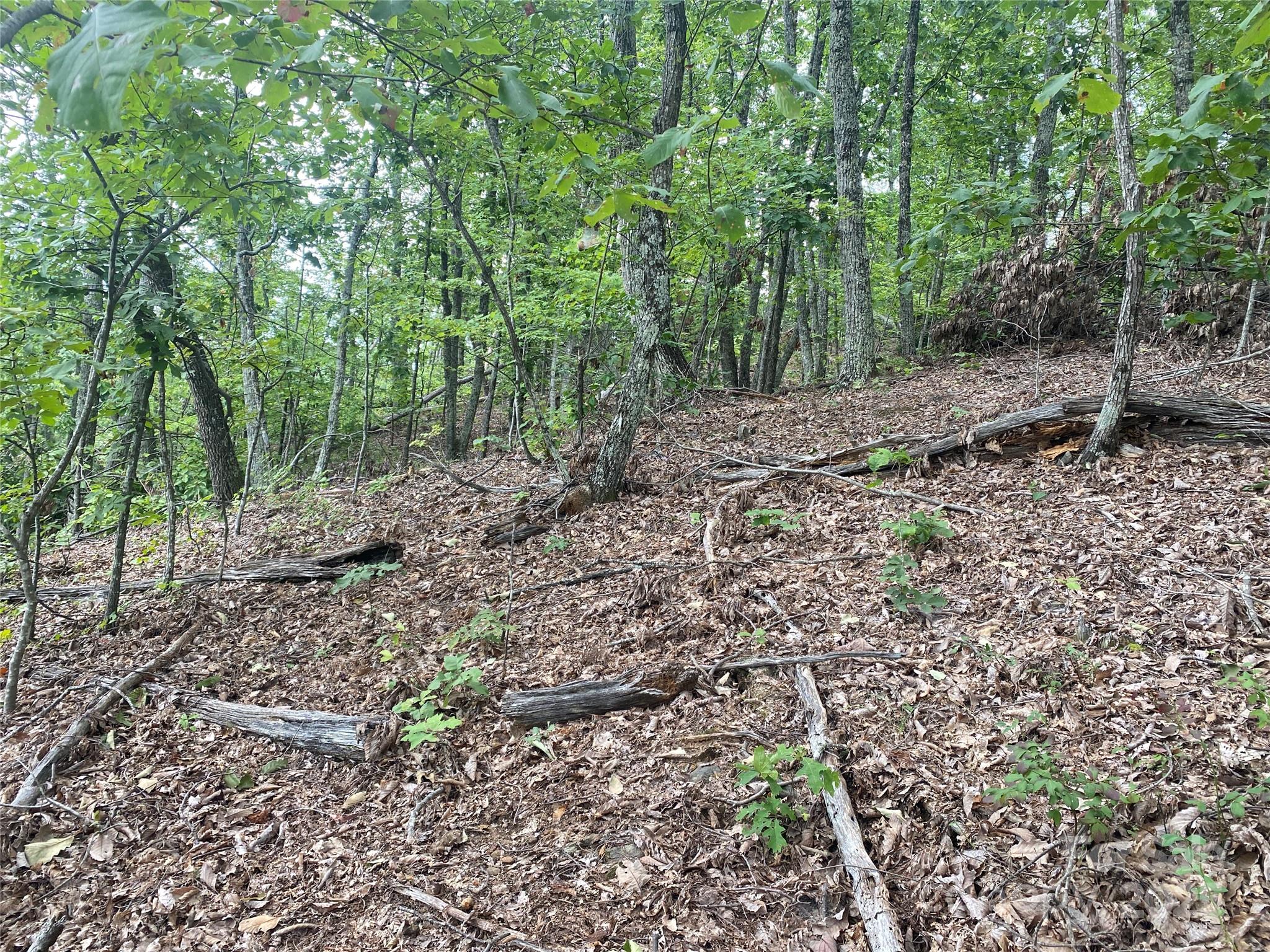 0 Spring Valley Drive Union Mills, NC 28167 - Photo 10 of 11