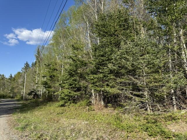 Lot 13 Pidgeon Point Road Whiting, ME 04691 - Photo 17 of 25 IMG_9966 (1)