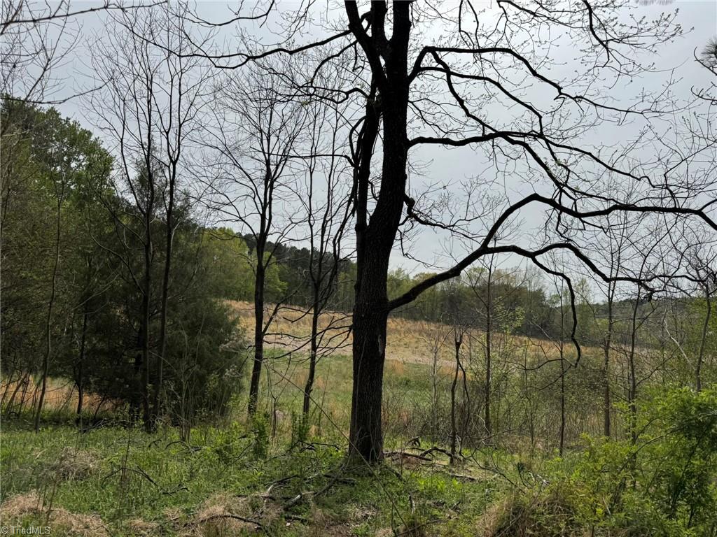 6988 Salem Chapel Road Walnut Cove, NC 27052 - Photo 14 of 38