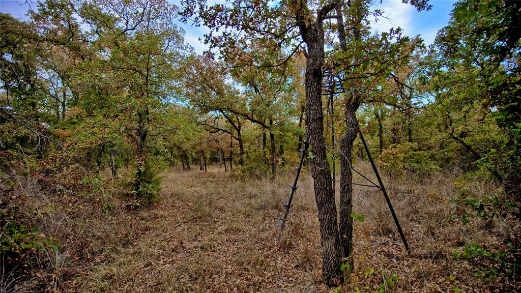Tbd Dixie School Road Nocona, TX 76255 - Photo 9 of 38 Gallery Image 9