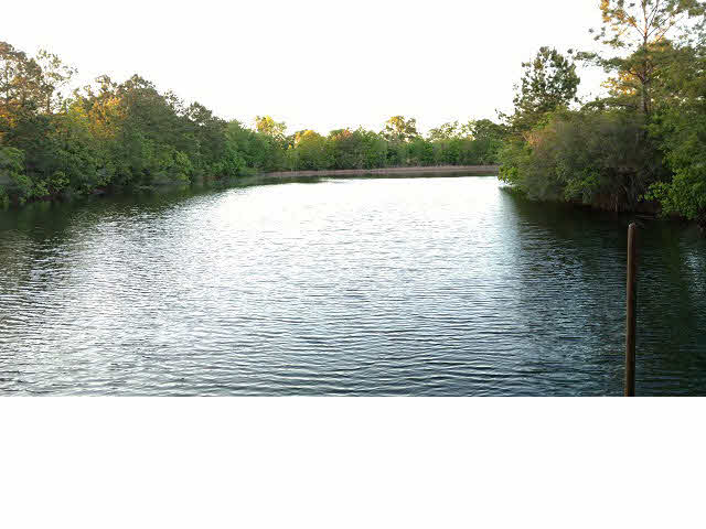 45450 Red Hill Road Bay Minette, AL 36507 - Photo 2 of 6