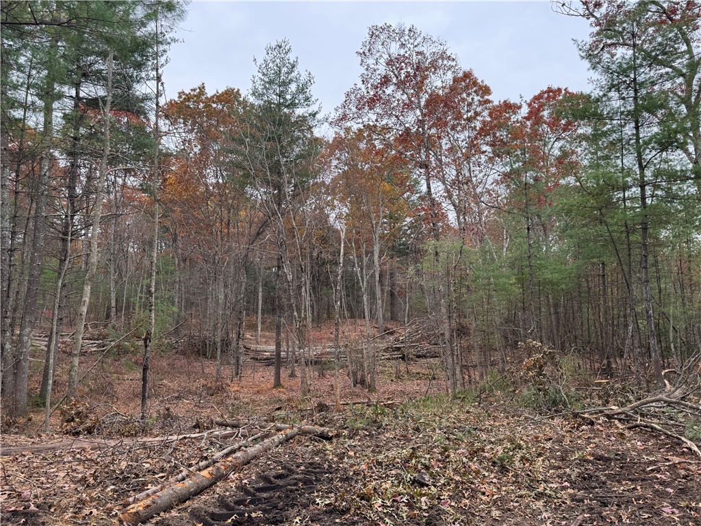 0 Steere Farm Road Burrillville, RI 02830 - Photo 13 of 18